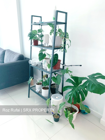 Blk 802C Keat Hong Crest (Choa Chu Kang), HDB 4 Rooms #319630061